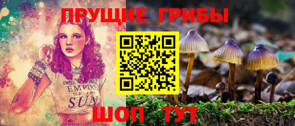 Алексин  Галлюциногенные грибы прущие грибы  Галлюциногенные грибы MAGIC MUSHROOMS  Вход с VPN 