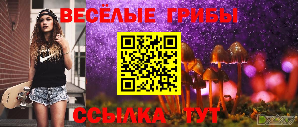 Псилоцибиновые грибы Cubensis Алексин
